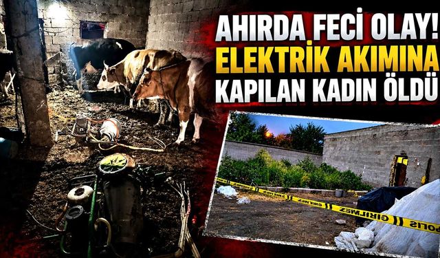 İnek sağarken elektrik akımına kapılan kadın hayatını kaybetti