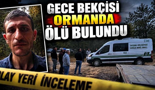 Gece bekçisi ormanda ölü bulundu
