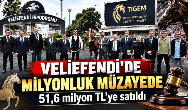 Veliefendi’de Milyonluk Müzayede! 51,6 Milyon TL’ye Satıldı