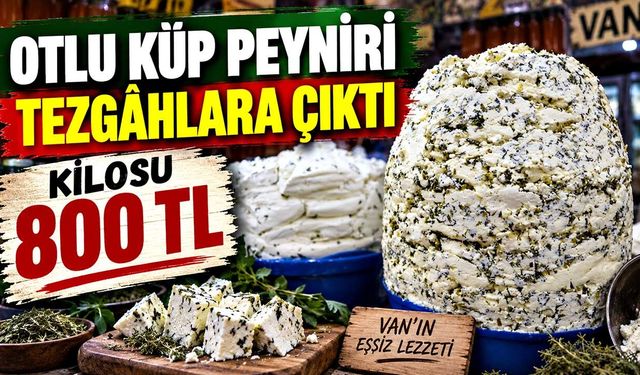 6 ay toprağın altında bekliyor, kilosu 800 liraya satılıyor