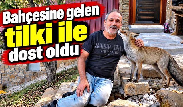 Bahçesine gelen tilki ile dost oldu