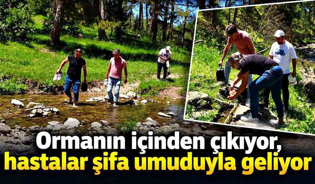 Ormanın içinden çıkıyor, hastalar şifa umuduyla geliyor