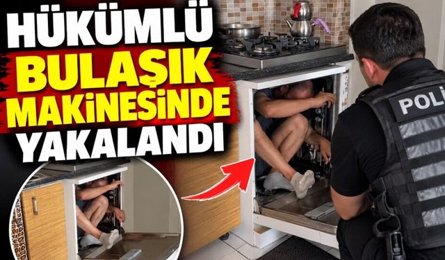 Polis eve girdi, aranan hükümlüyü bulaşık makinesinde buldu
