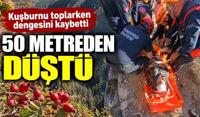 Kuşburnu toplarken 50 metrelik uçuruma yuvarlandı