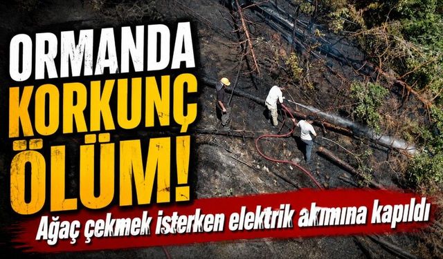 Ağaç çekerken elektrik akımına kapılan vatandaş öldü, ormanlık alanda yangın çıktı