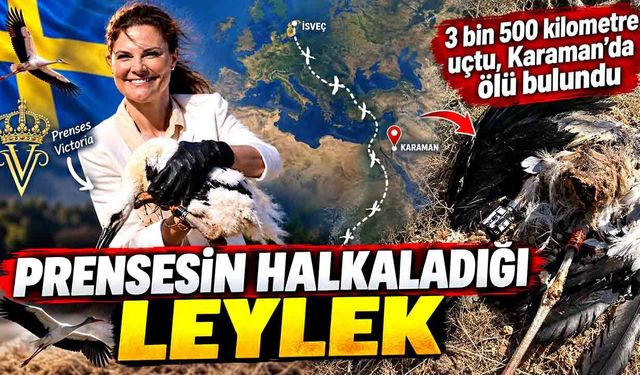 3 bin 500 kilometre uçtu, Karaman’da ölü bulundu