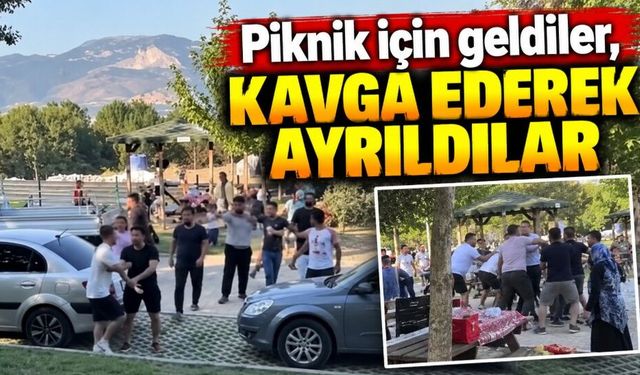 Piknik kavgasında tekme ve yumruklar havada uçuştu