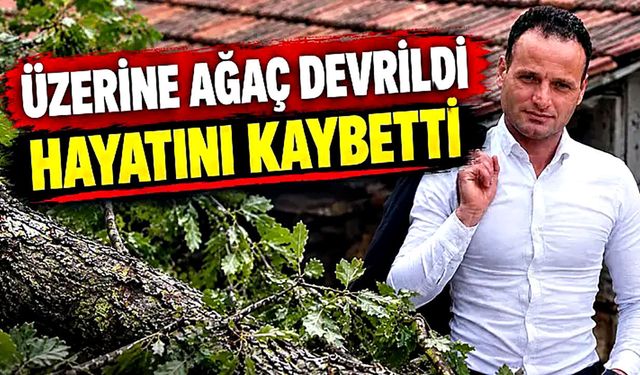 Üzerine ağaç devrilen işçi hayatını kaybetti