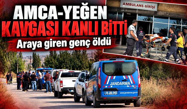 Amca-yeğen kavgası kanlı bitti: Araya giren genç adam öldü