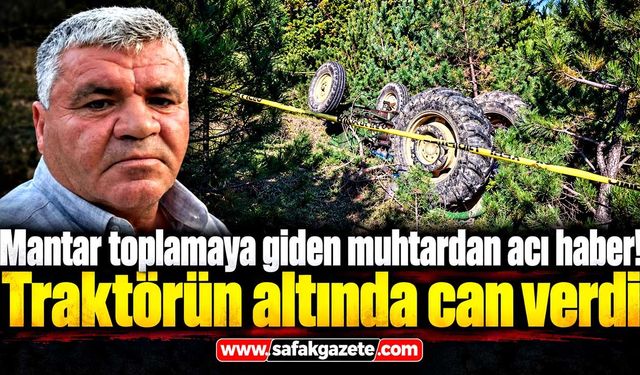 Mantar toplamaya giden muhtardan acı haber!
