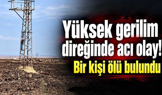 Yüksek gerilim direğinde acı olay! Bir kişi ölü bulundu