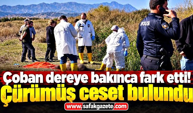Korkunç manzara! Derede çürümüş ceset bulundu