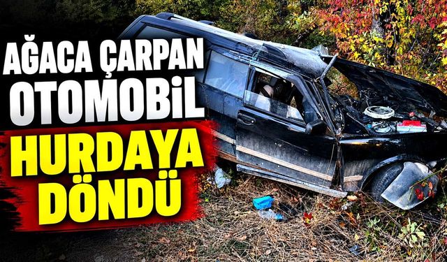 Ağaca çarpan otomobil parçalandı: Sürücü hastaneye kaldırıldı