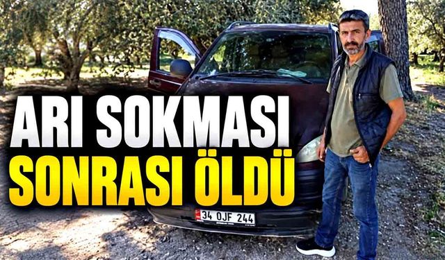 Akrabalarıyla zeytin topluyordu: Arı sokması sonrası öldü