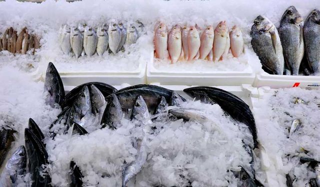 Denize kıyısı olmayan Kahramanmaraş’ta balık pazarı hareketlendi