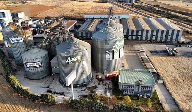 Sıvı yağ fabrikasının ayçiçeği çekirdeği silosunda yangın çıktı