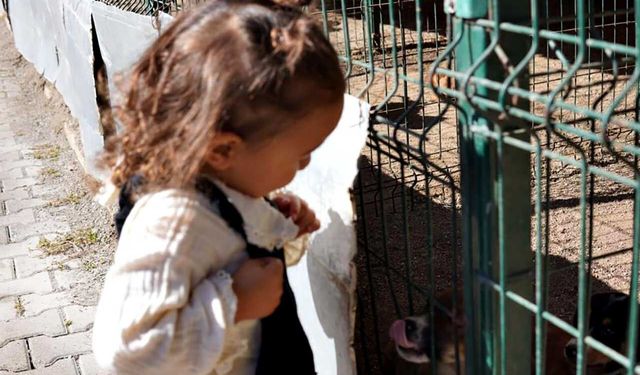 Hayvan sevgisi küçük yaşta başladı: Öğrenciler barınağı ziyaret etti