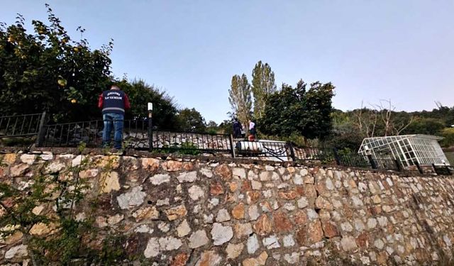 Villada yarım milyonluk paneller çalındı
