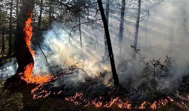 Karabük’te örtü yangını büyümeden söndürüldü