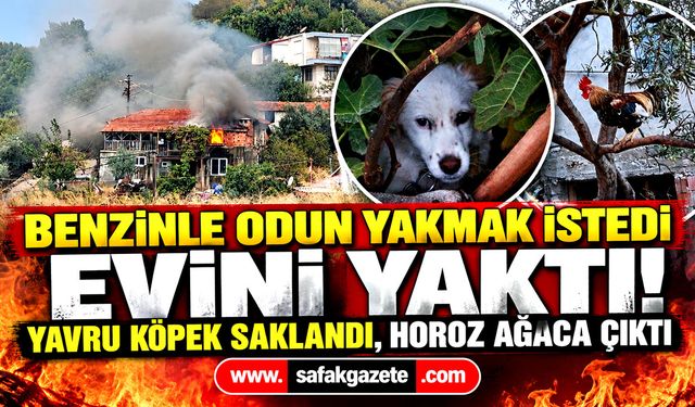 Benzinle odun yakmak istedi! Ev kullanılamaz hale geldi