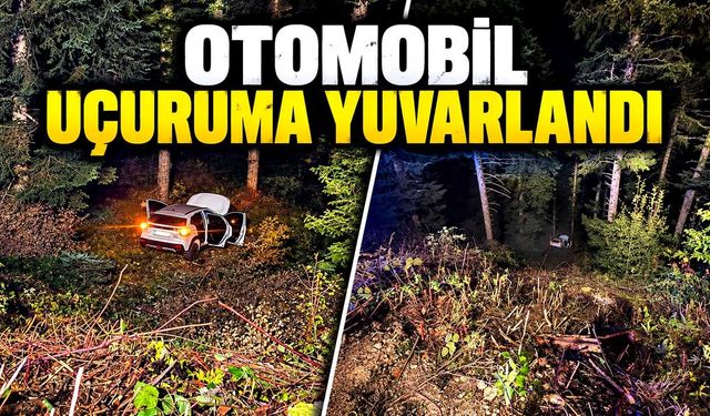 Otomobil uçuruma yuvarlandı: 4 kişi yaralandı