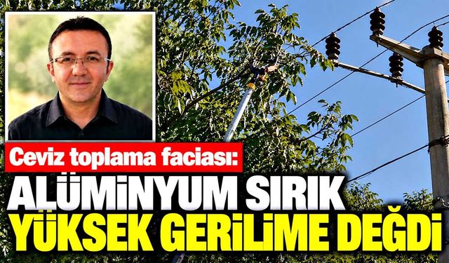Ceviz toplarken yüksek gerilim hattına temas etti: Hayatını kaybetti