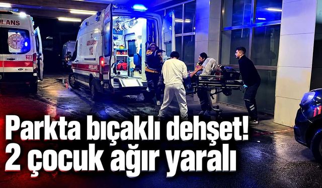 Parkta bıçaklı dehşet! 2 çocuk ağır yaralı