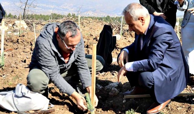 Karabük'te 250 fidan toprakla buluştu