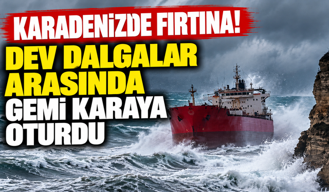 Karadeniz'de dev dalgalarla mücadele! Ticari gemi karaya oturdu