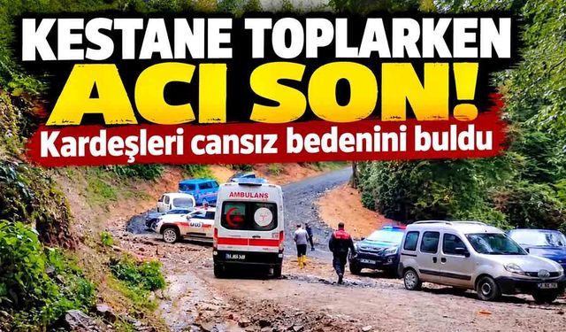 Kestane toplarken acı son! Kardeşleri cansız bedenini buldu