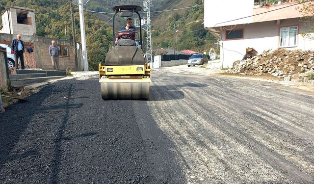 Köy yolları onarılıyor! Ekipler asfalt mesaisinde