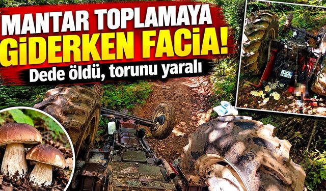 Mantar toplamaya giderken facia: Dede öldü, torunu yaralandı
