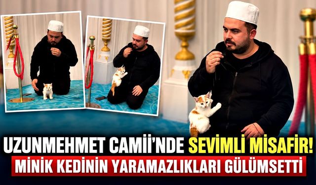 Zonguldak'ta caminin minik misafiri! Sevimli hareketleri gülümsetti