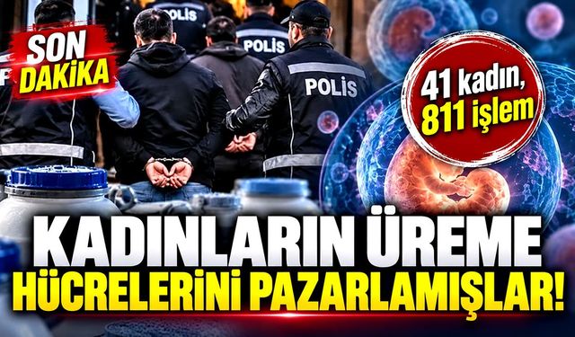 Yasa dışı "Üreme hücresi" ticaretinde dikkat çeken detay: Sarı saç, mavi göz şartı!