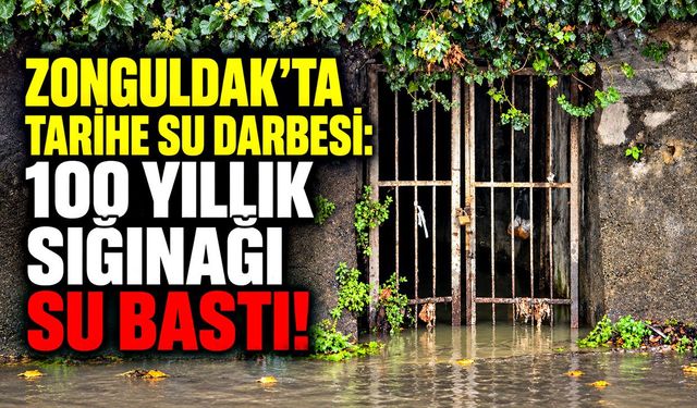 Zonguldak'ta tarihe su darbesi:  100 yıllık sığınağı su bastı!