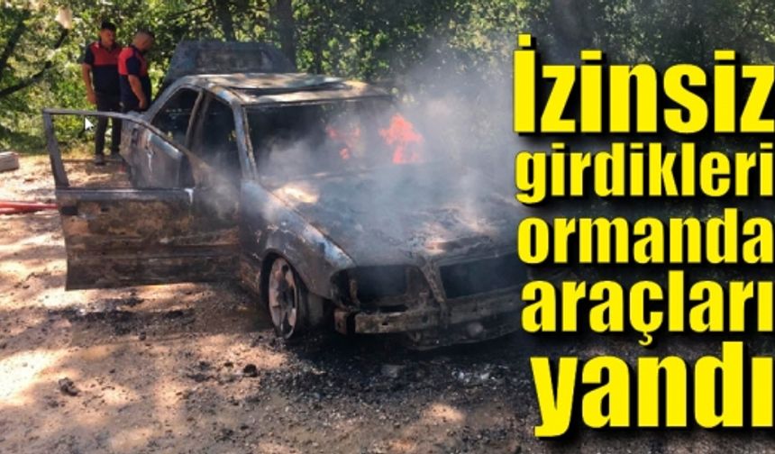 İzinsiz girdikleri ormanda araçları yandı, ceza yemekten kurtulamadılar