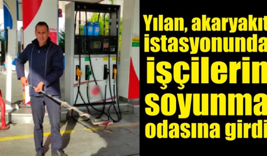 Yılan, işçilerin soyunma odasına girdi