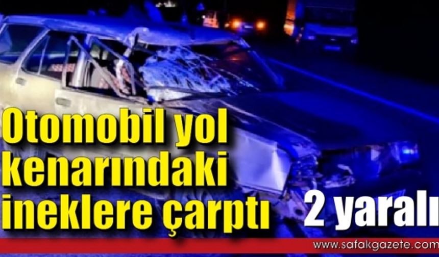 Otomobil ineklere çarptı: 2 yaralı