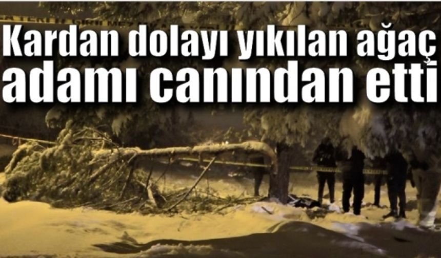 Yaşlı adam devrilen ağacın altında ölü bulundu