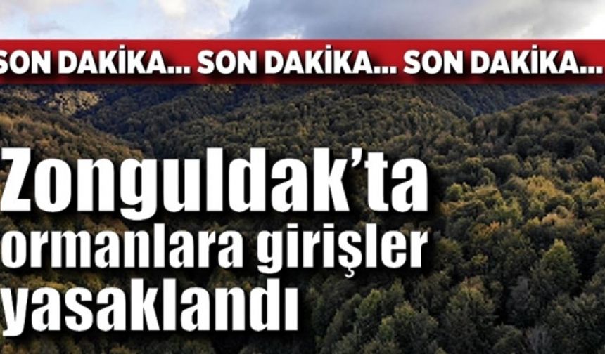 Zonguldak’ta ormanlara giriş-çıkış 1 Eylül tarihine kadar yasaklandı