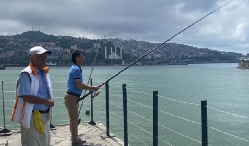 Yunuslar binlerce istavriti limana sıkıştırdı, vatandaşlar kova kova balık avladı