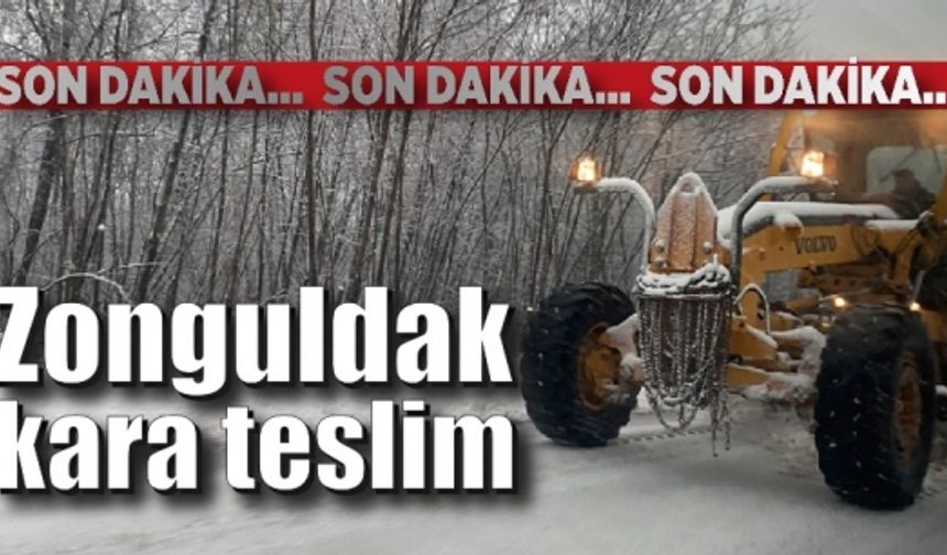 Zonguldak kara teslim!