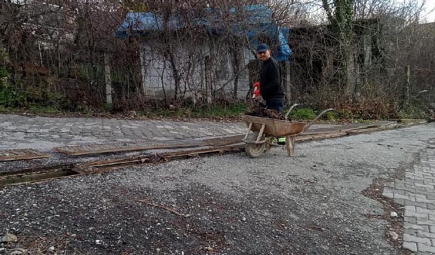 Belediye ekipleri mazgal temizliği yapıyor