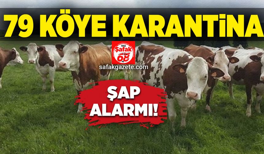 Şap alarmı! 79 köy karantinaya alındı
