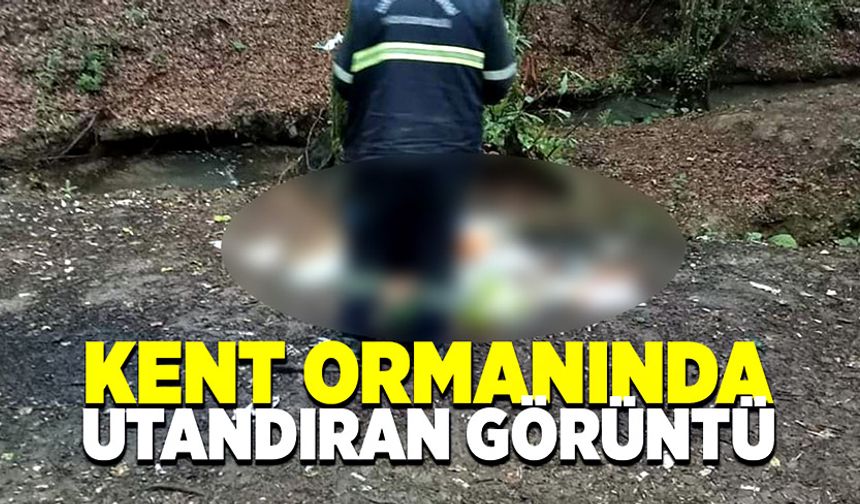 Kent ormanında utandıran görüntü