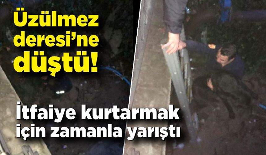 Üzülmez Deresi’ne düştü!  İtfaiye kurtarmak için zamanla yarıştı