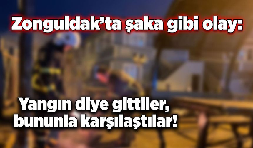 Zonguldak’ta şaka gibi olay: Yangın diye gittiler, bununla karşılaştılar!