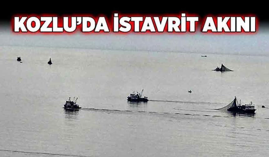 Kozlu’da istavrit akını