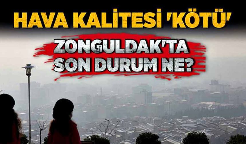 Hava kalitesi 'Kötü' seviyede: Zonguldak'ta son durum ne?