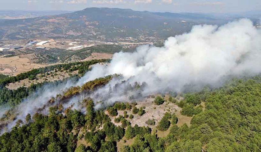 Karabük'te orman yangınında 7 hektar alan zarar gördü